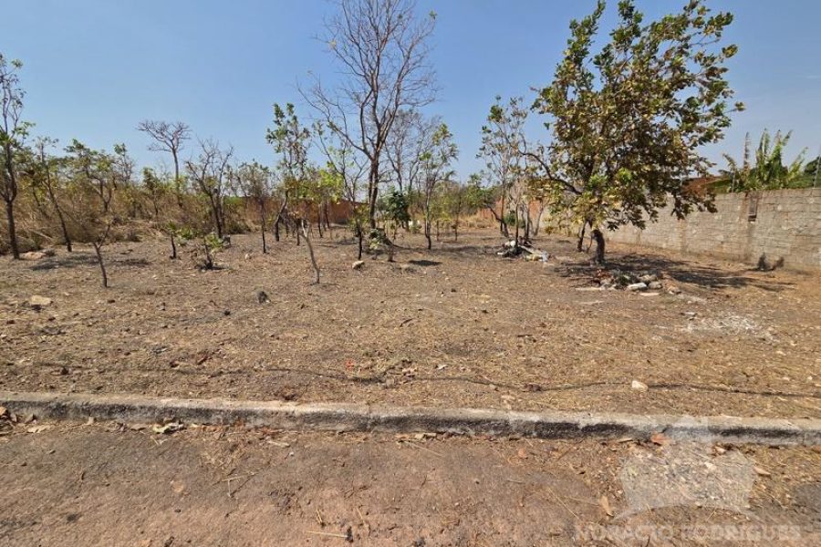 20250918_102632 20250918_102632