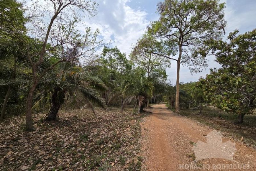 20250928_101607 20250928_101607