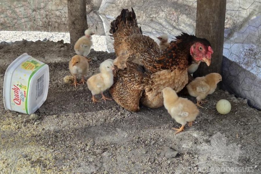 20251018_153300 20251018_153300