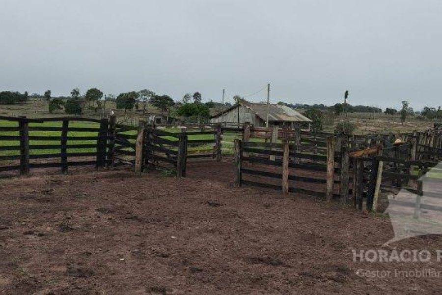 IMG-20250925-WA0340 IMG-20250925-WA0340