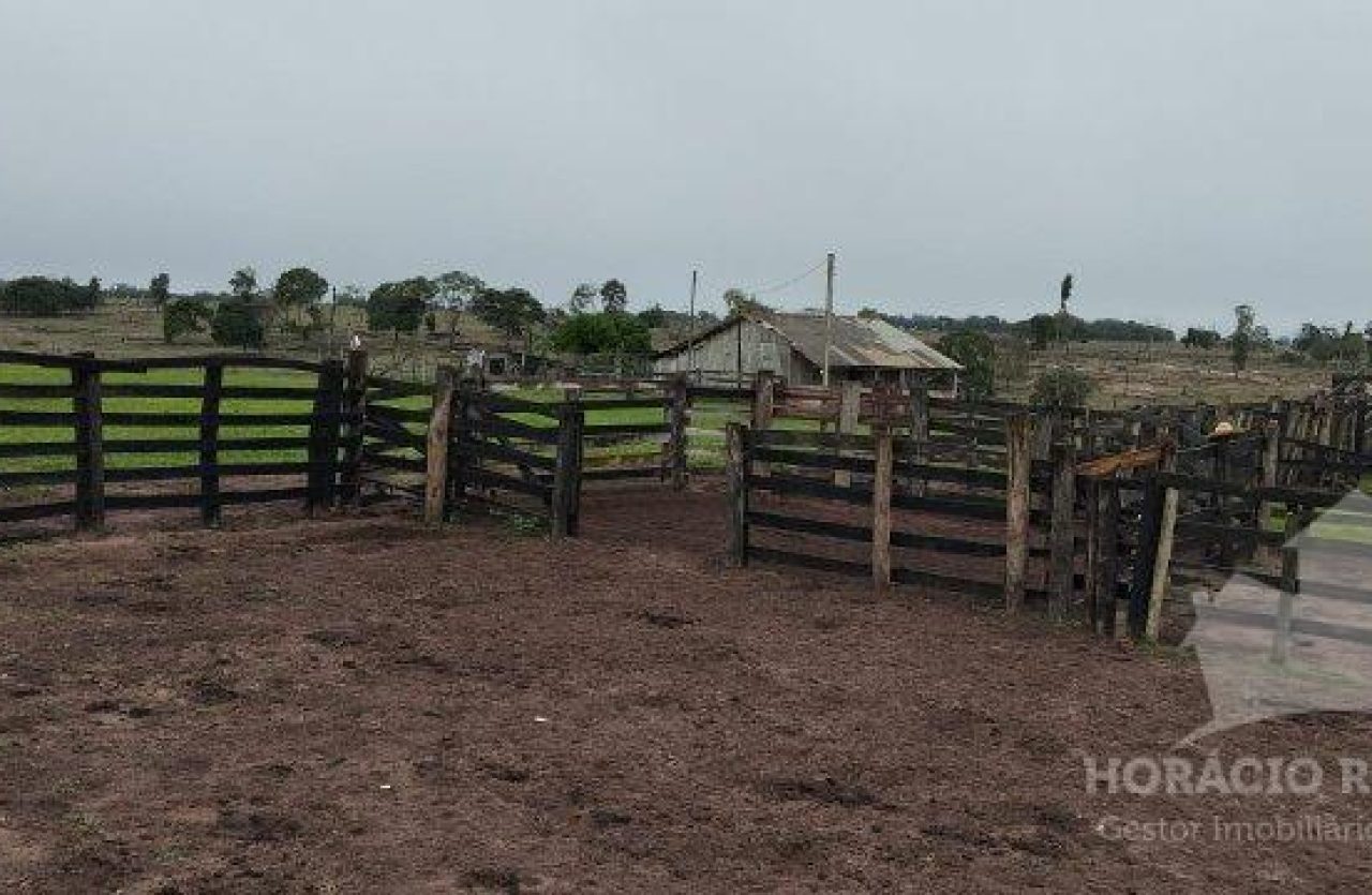 IMG-20250925-WA0340 IMG-20250925-WA0340