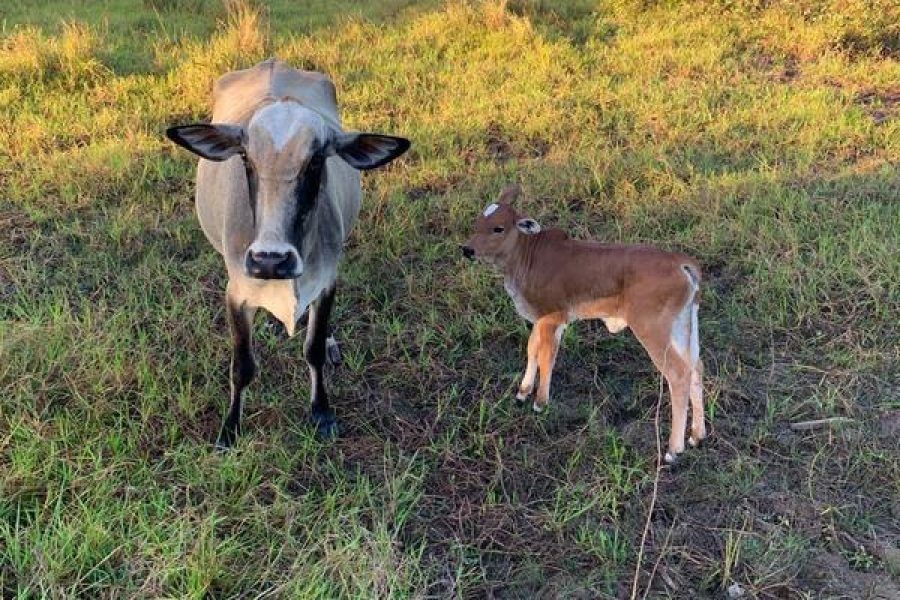 IMG-20251007-WA0460 IMG-20251007-WA0460